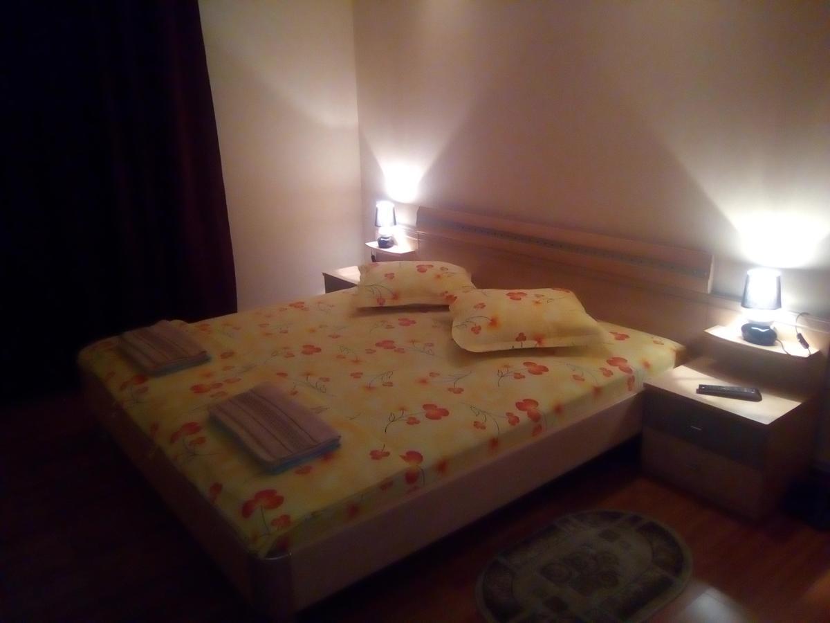 Hotel Casa Ovi Si Simo à Haţeg Extérieur photo