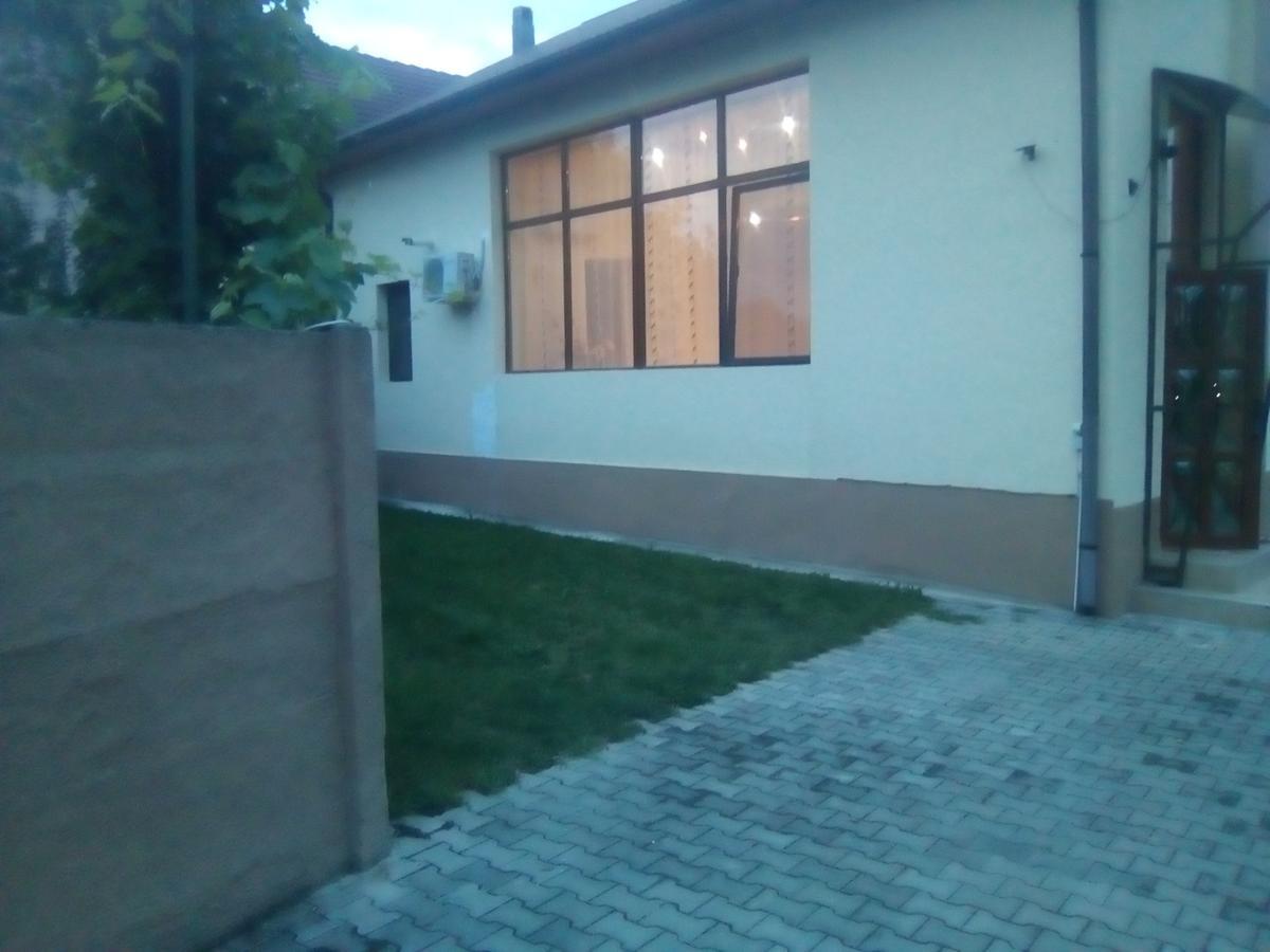 Hotel Casa Ovi Si Simo à Haţeg Extérieur photo